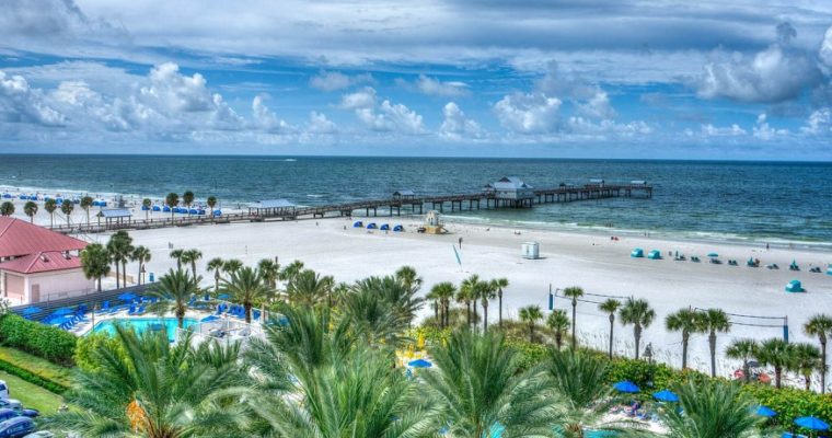 Best Intentions for and Appreciate in Excursions at Clearwater