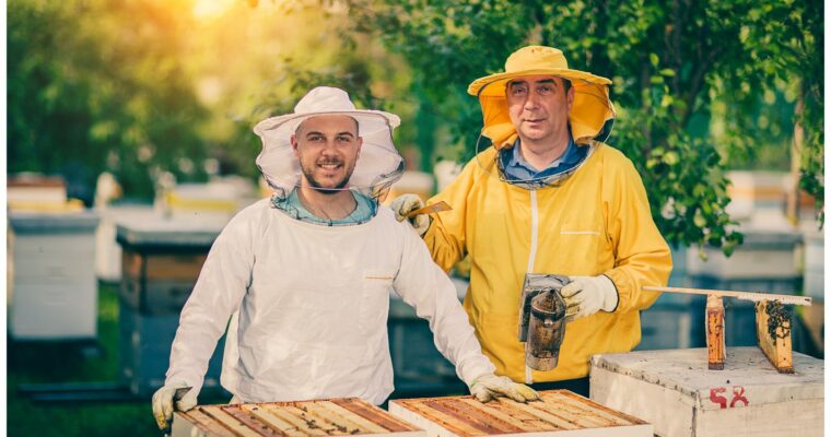 10 Things To Look For In A Beekeeping Jacket!