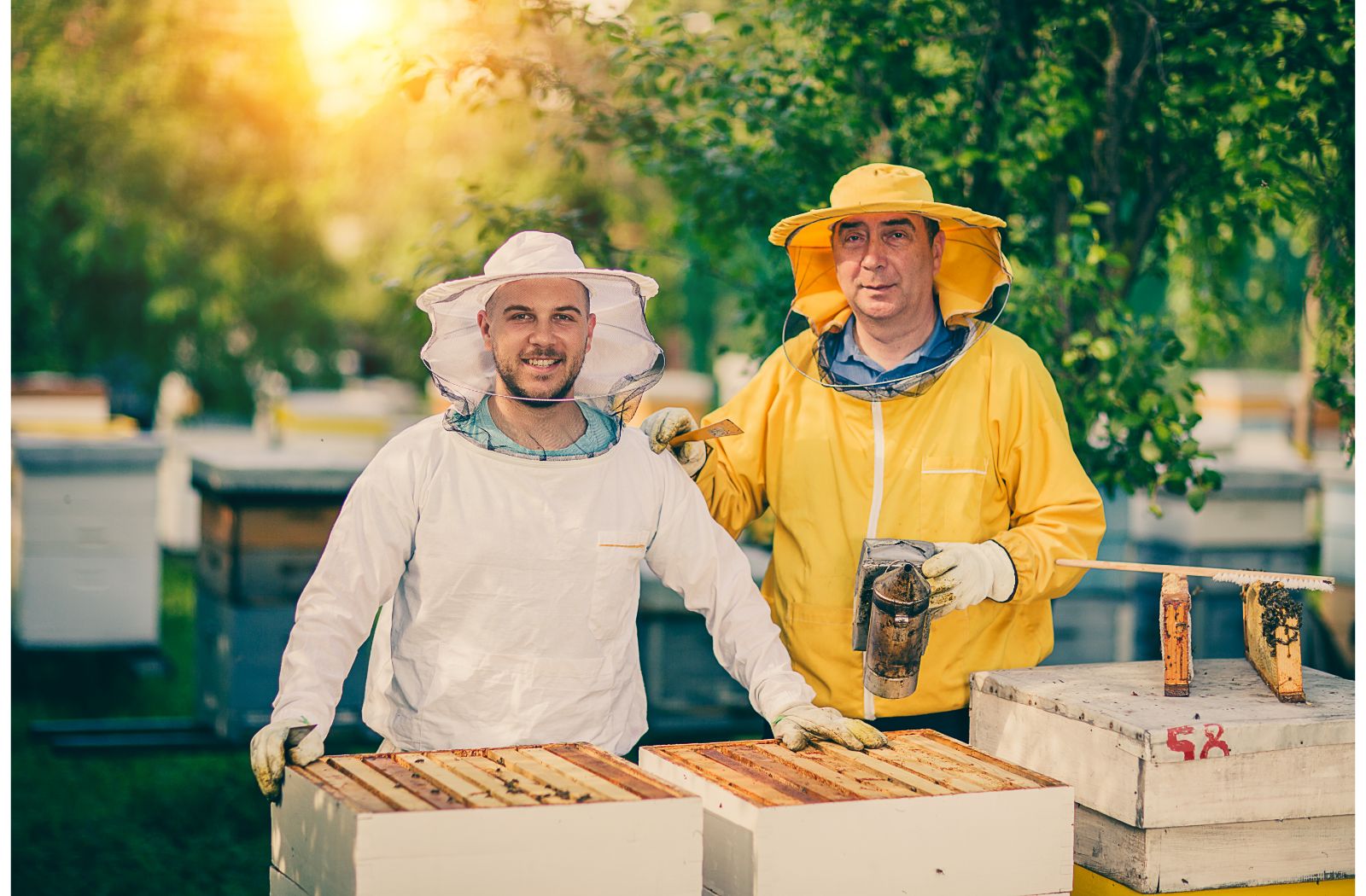 10 Things To Look For In A Beekeeping Jacket!