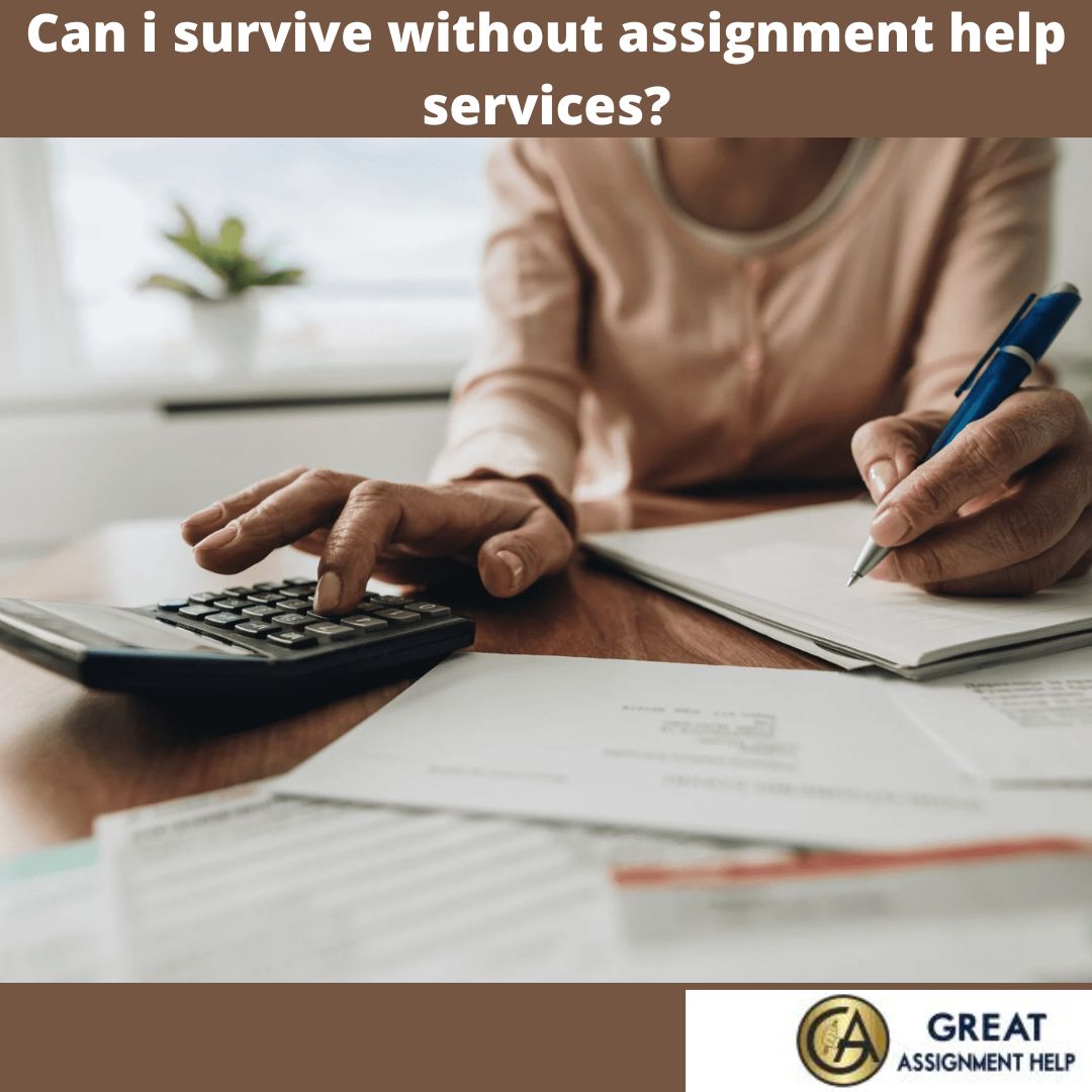 Can i survive without accounting help services?