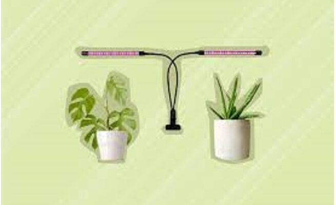 How to Pick the Best LED Light for Indoor Plant Growth