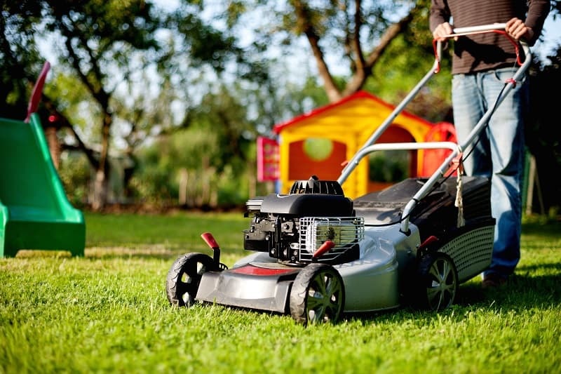 How To Choose The Perfect Lawnmower For Your Garden