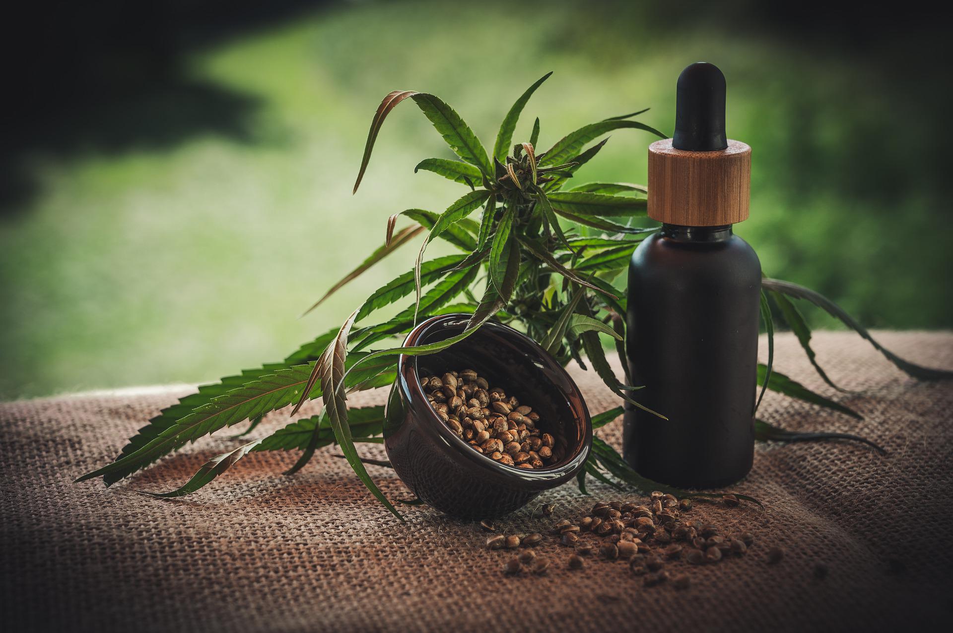 Top 10 Best Hemp Products for 2022