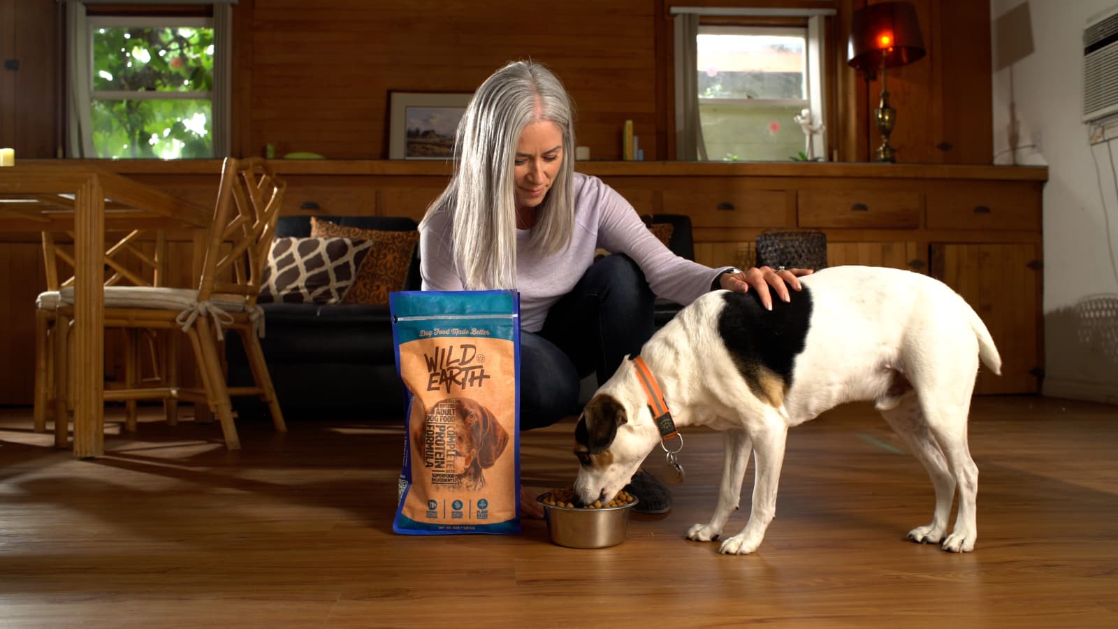 The Best Organic Dog Foods For Dogs