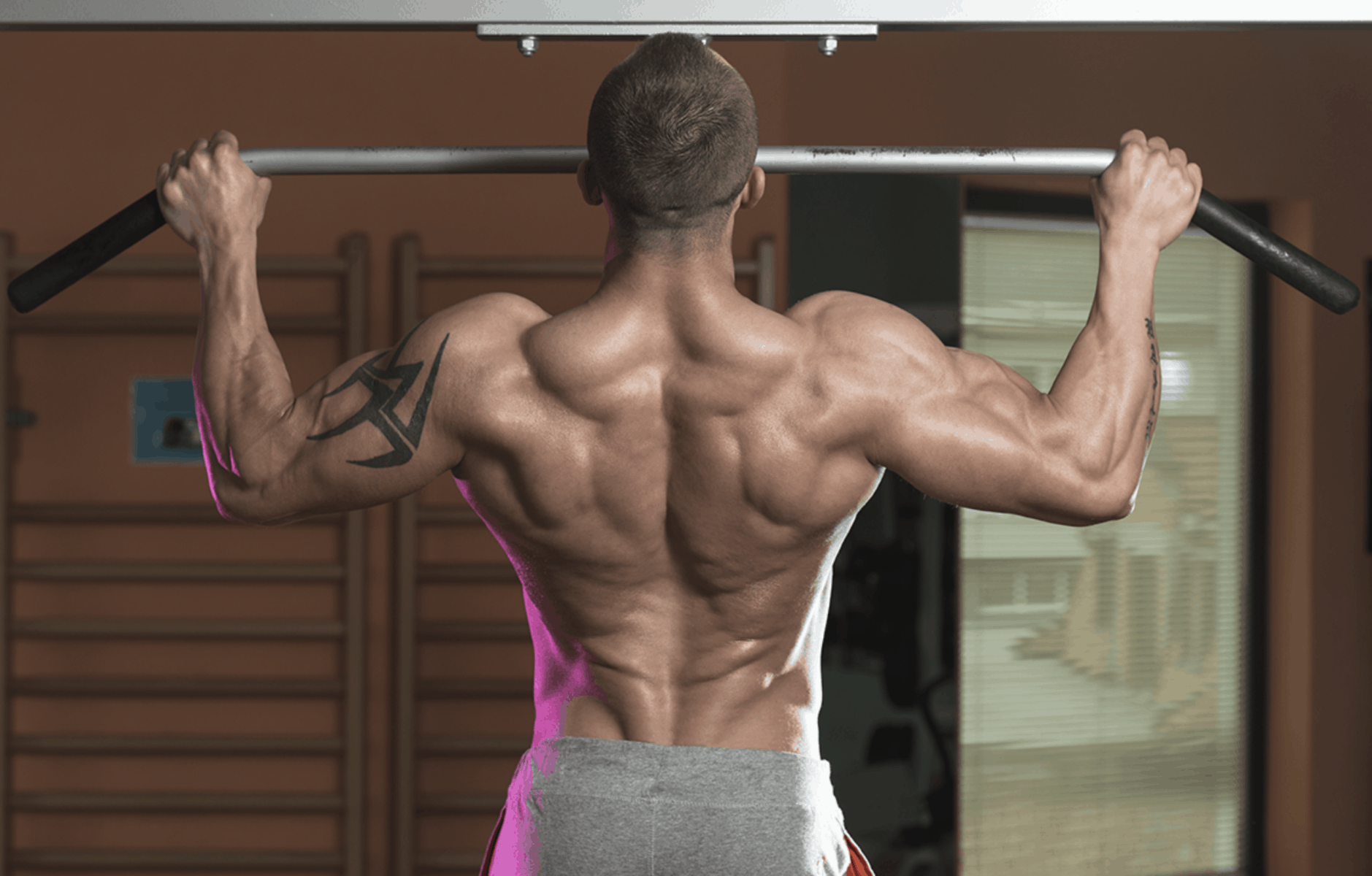 10 The Best Pullup Bars For Back Workout