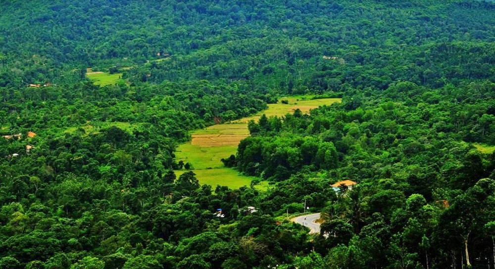 Coorg