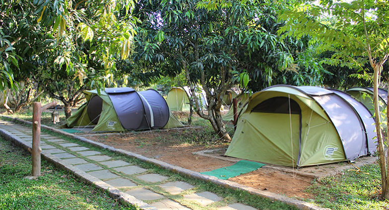 Dandeli Jungle Camp- Stay in the Wild