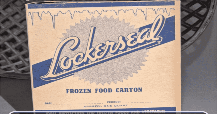 The Frozen Food Boxes Could Be Good For Business