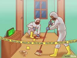 What is the job of cleaning crime scenes called?