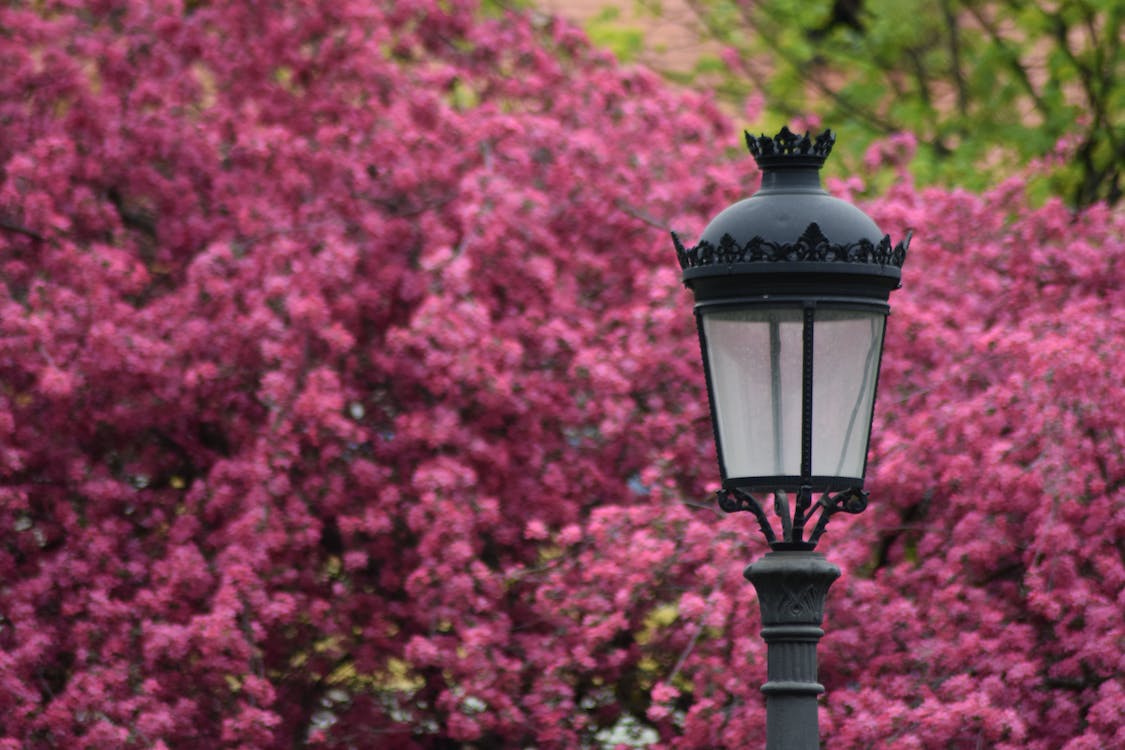 5 Common Types of Outdoor Lighting Fixtures