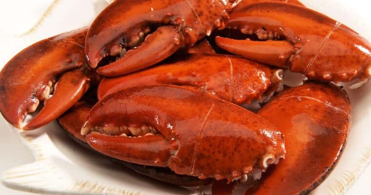 A way to find the best lobster claws near you