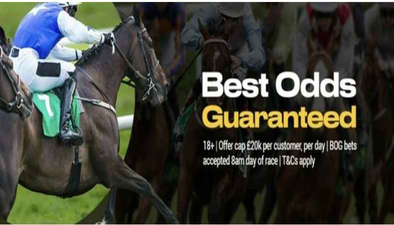 Best Online Horse Betting Sites 2022