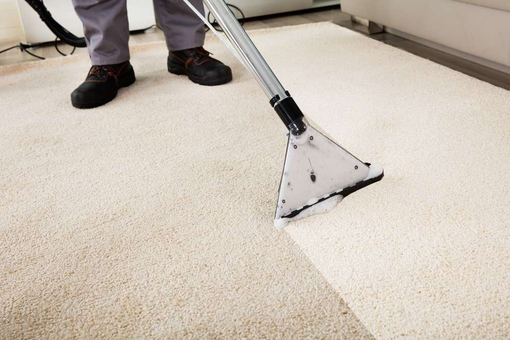 Where Can You Find Quality Carpet Cleaning Services?