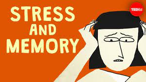 How stress affects memory