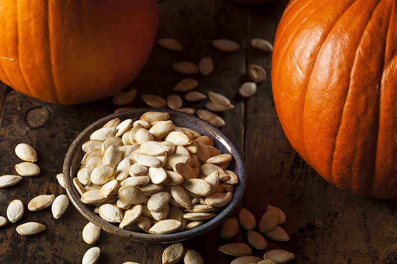 Pumpkin Seeds Have Numerous Health Advantages