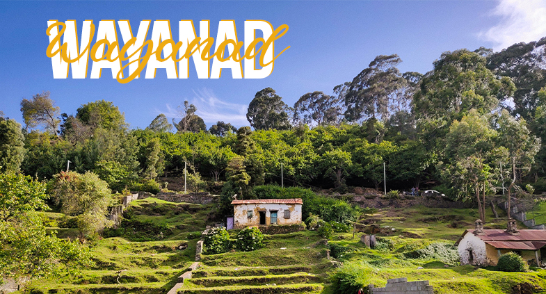 8 Reasons to make Wayanad your next Backpacking