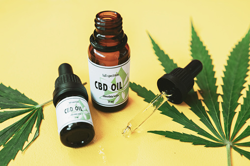 Reasons Why You Should Buy CBD Oil for Your Pets Joints