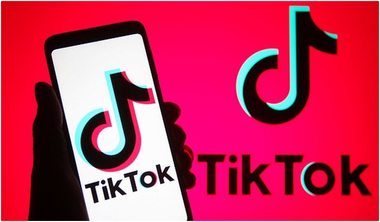 Download TikTok Videos Easily with SnapTik