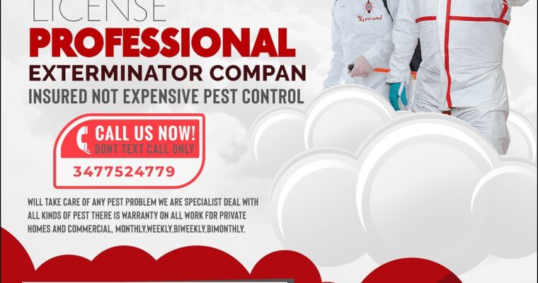 Effective Strategies for Pest Control