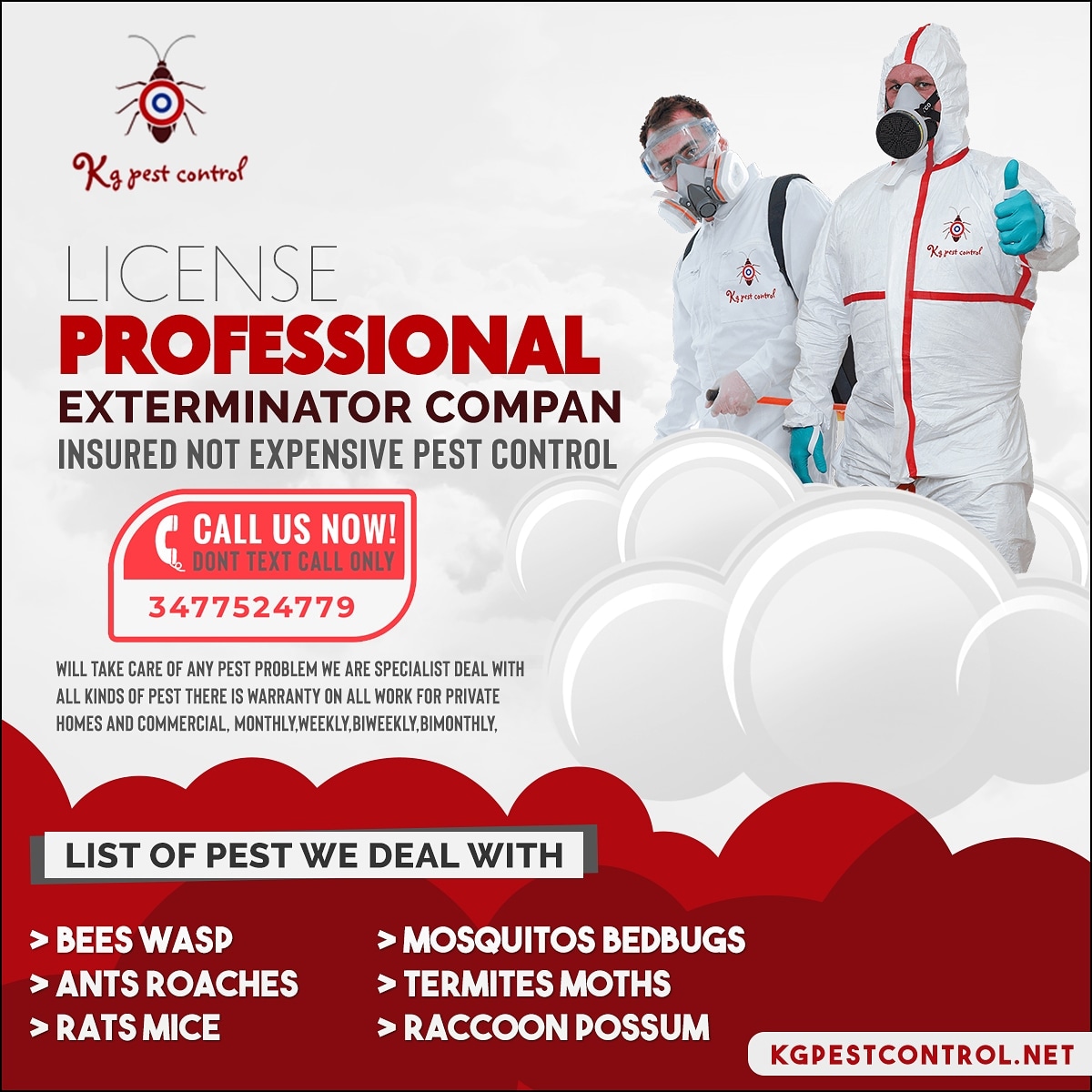 Effective Strategies for Pest Control