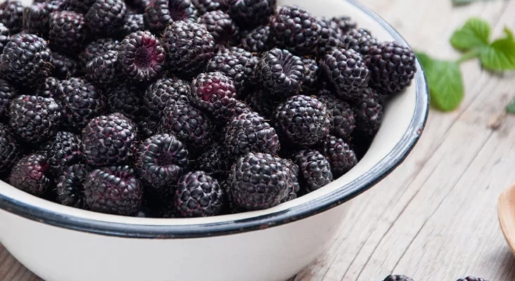 Why are blackberries so helpful to men’s well-being?