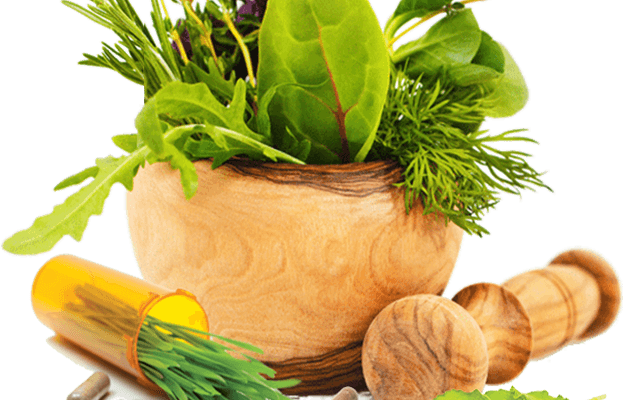 Ayurveda Medicine: Key Ayurvedic Therapy Elements