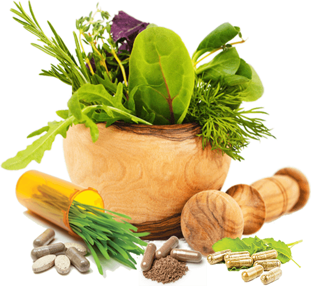 Ayurveda Medicine: Key Ayurvedic Therapy Elements