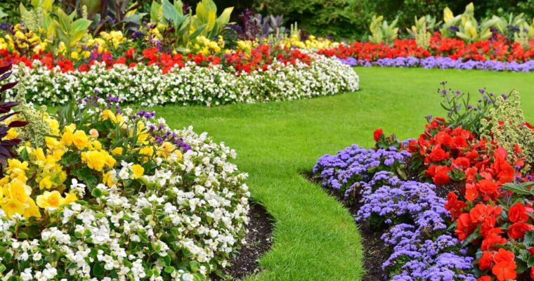 Designing Your Garden – What Makes a Good Garden?