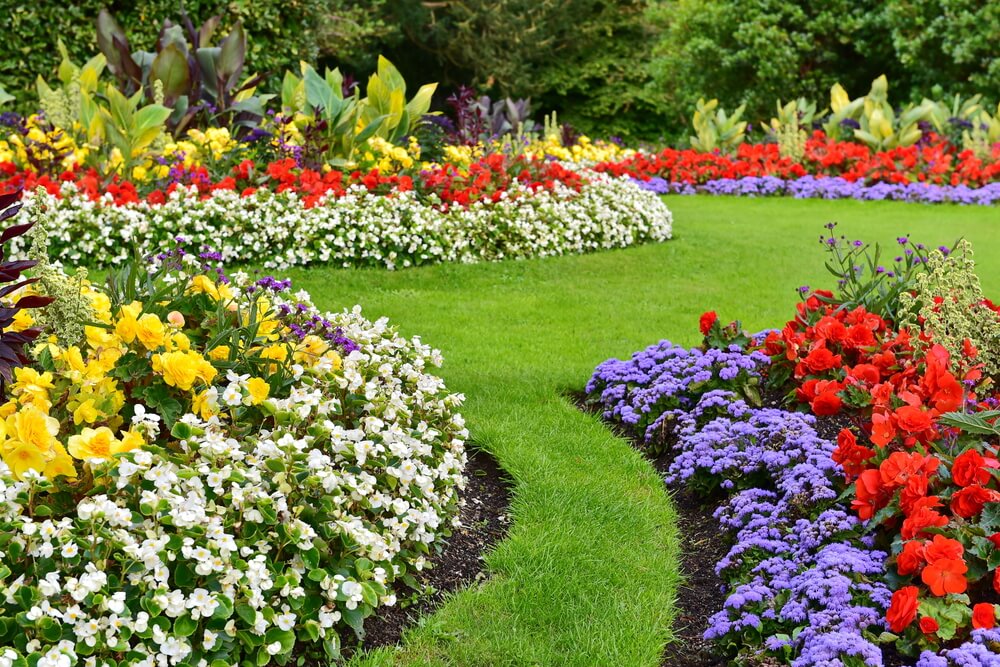 Designing Your Garden – What Makes a Good Garden?