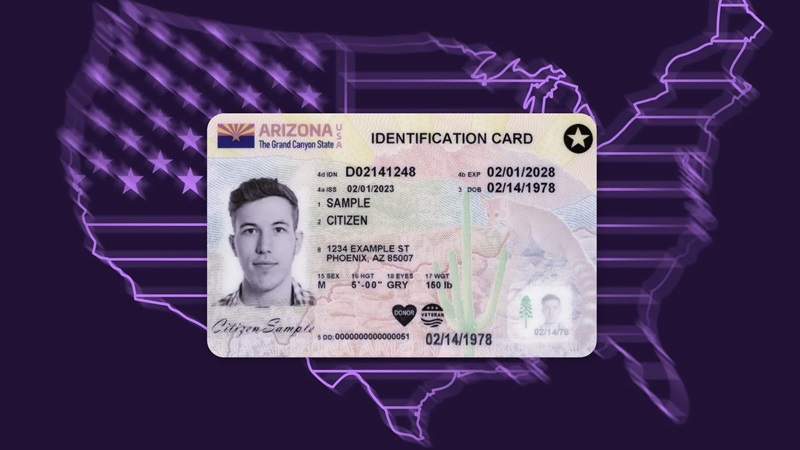 The Basic Principles Of Fake id