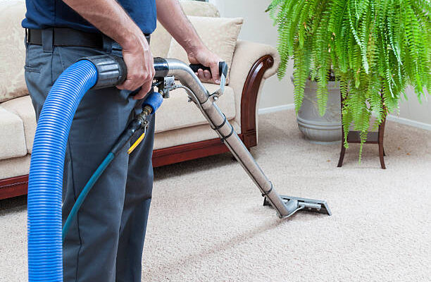 Why Hire a Professional Upholstery Cleaning Service in Largo, FL?