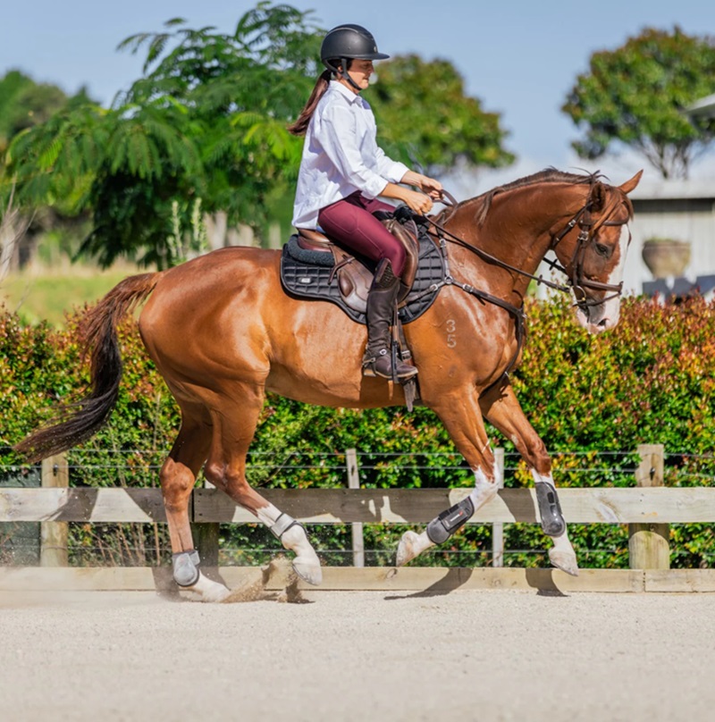 Enhancing Your Ride a Deep Dive into the Wide World of Horse Riding Accessories