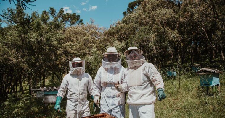 Why Do Beekeepers Live Longer, Or Is It Just A Myth