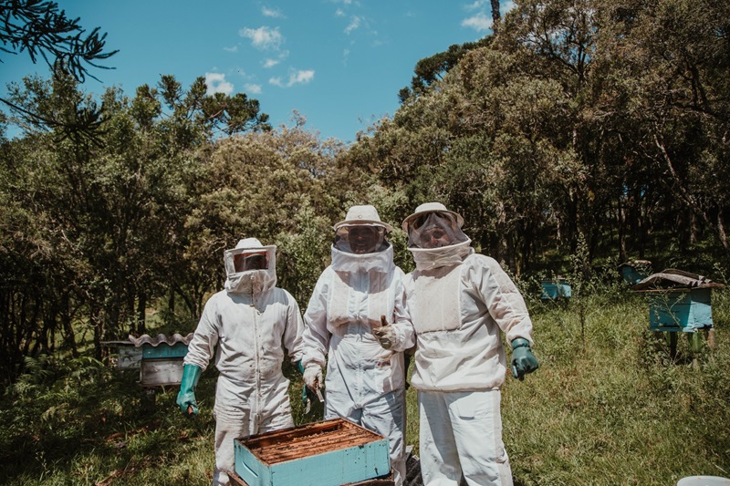 Why Do Beekeepers Live Longer, Or Is It Just A Myth