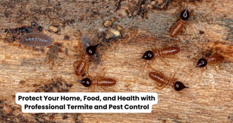 Protect Your Home, Food, and Health with Professional Termite and Pest Control