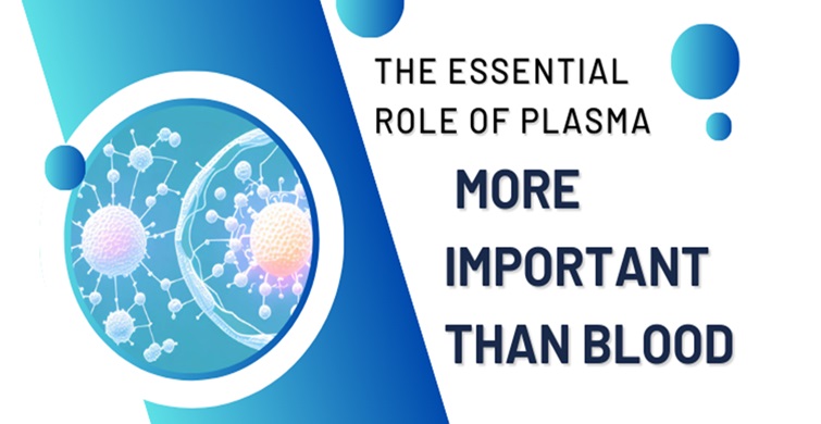 What Makes Plasma More Important Than Blood?